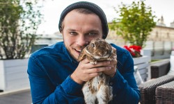 �������� ��������